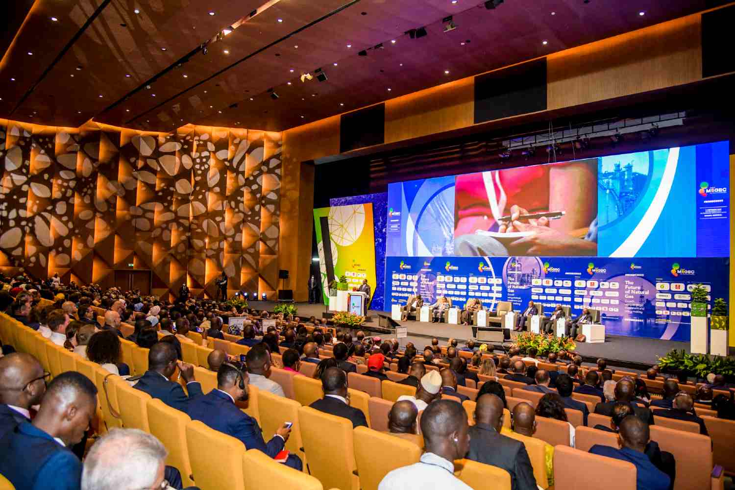 Le panel ministériel du MSGBC va libérer le potentiel énergétique de l’Afrique