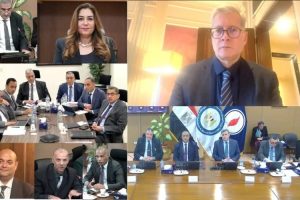 NPC : Expertise en HSE et Transformation Digitale