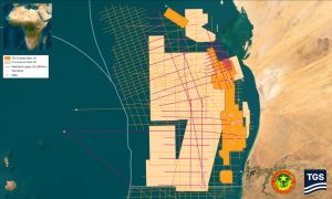 Mauritanie : TGS étend sa bibliothèque de Données Sismiques 3D au large du pays