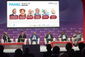 IBS Group représente le secteur privé guinéen au Africa CEO Forum 2025, dans le cadre de l’initiative "Invest in Guinea"