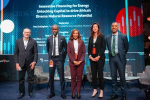 IAE 2025 met en lumière des solutions de financement innovantes pour libérer le potentiel énergétique de l'Afrique